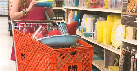 Big Lots Coupons - The Krazy Coupon Lady - July 2022