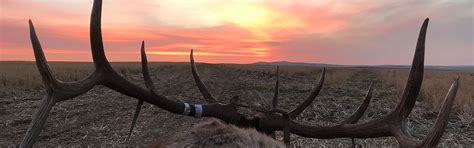 Hunt Oregon in the Blue Mountains of Eastern Oregon - Hunt Oregon