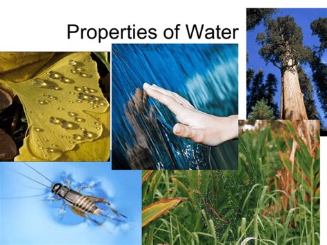 Properties of Water