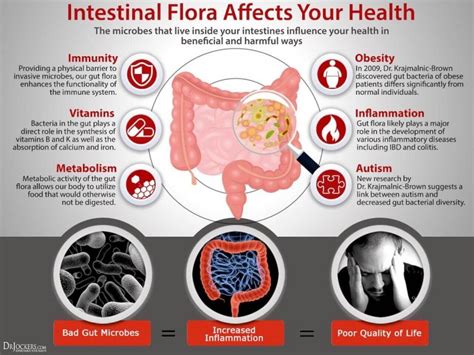 What Is The Gut Microbiome Everyone S Talking About Muniq