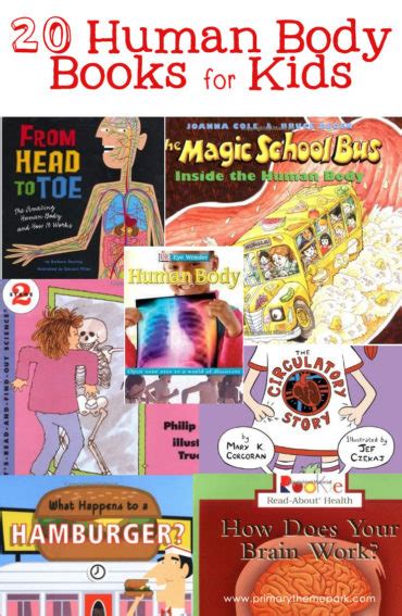 20 Human Body Books for Kids - Primary Theme Park