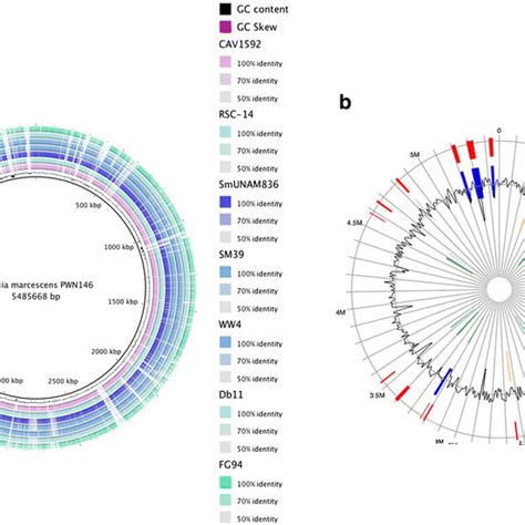 Circular Visualization Of Comparative Genome Analysis Of S Marcescens Download Scientific