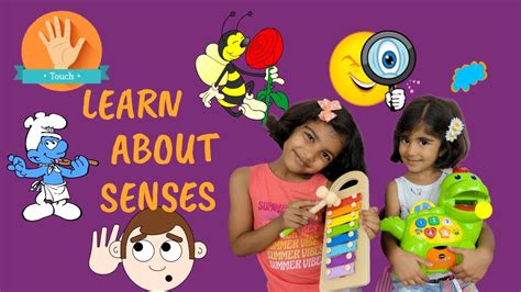 Learn About The Five Senses Sense Of Sight Sense Of Smell Sense