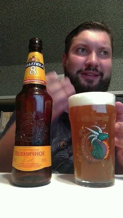Балтика 8!!! #пиво #обзор #обзорпива #beer #пивнойобзор - YouTube