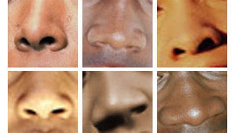 African American Nose Shapes