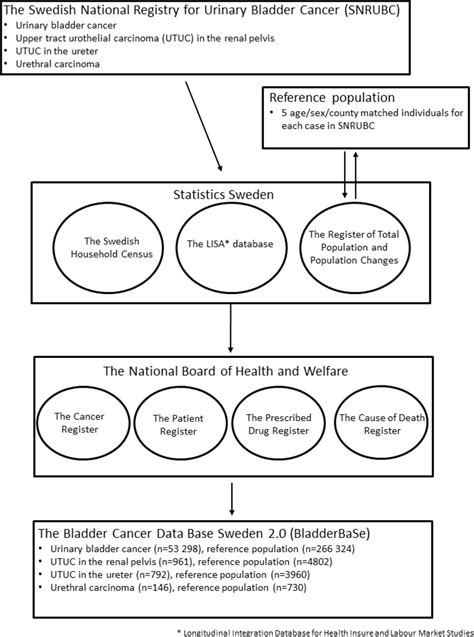 Cohort Profile Bladder Cancer Data Base Sweden Bladderbase 2 0 Bmj