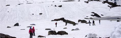 lachung  packages book lachung travel packages  veena world