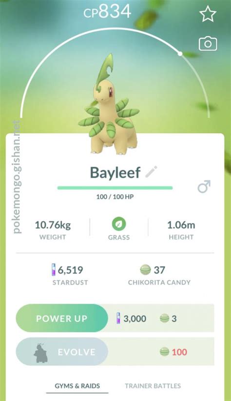 Bayleef - Pokemon Go