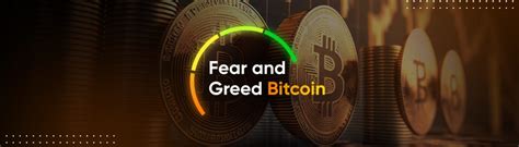 Fear And Greed Bitcoin O Que E Como Funciona Foxbit