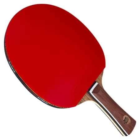 All Around Paddles CounterStrike Table Tennis