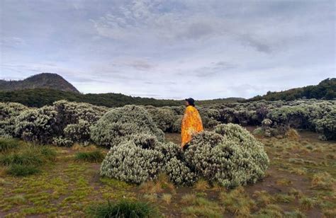 Jalur Pendakian Gunung Papandayan Jawa Barat