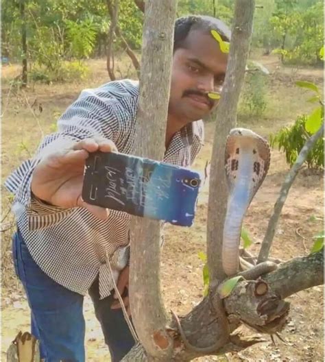 Most Dangerous Selfie In The World R Oddlyterrifying