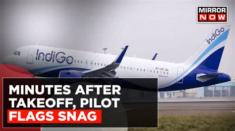 Indigo Flight Diverted After Pilot Announced Technical Snag Latest