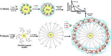 In Situ Synthesis Stabilization And Activity Of Protein Modified Gold