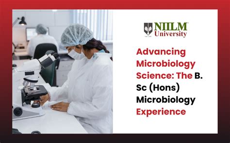 Advancing Microbiology Science The B Sc Hons Microbiology