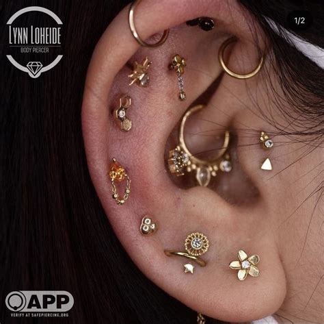 Gold Ear Curation Earings Piercings Body Jewelry Piercing Daith