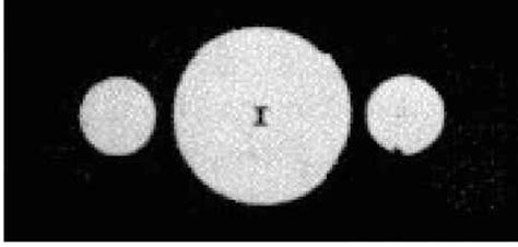 First Observations Of Saturns Companions - Saturn Ring System