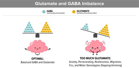 Gaba Neurotransmitter