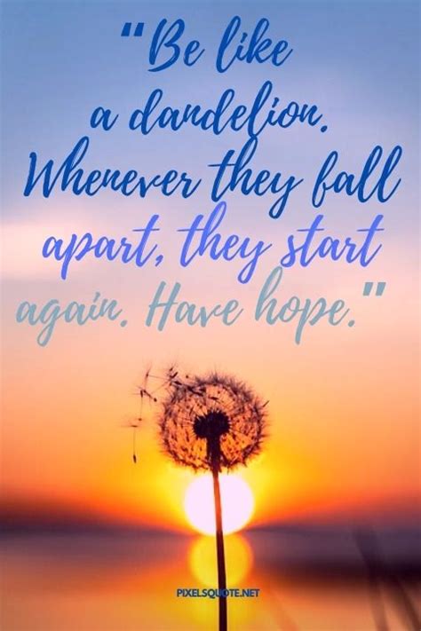 Dandelion Quotes With Beautiful Images Pixelsquote Net