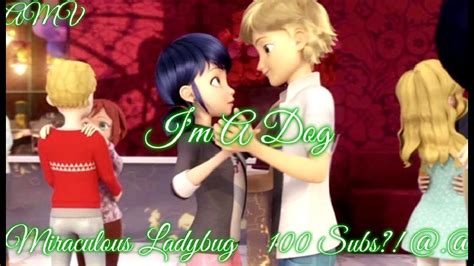 Im A Dogmiraculous Ladybug100 Subs Youtube