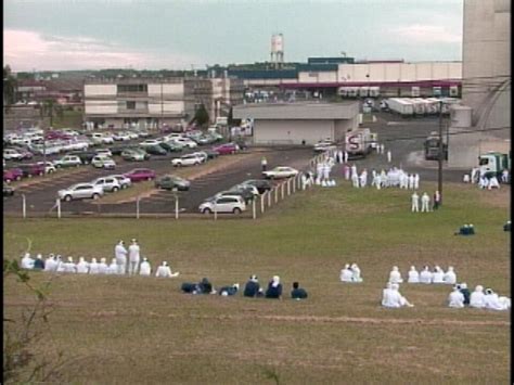 Agroindústria O Que Faz