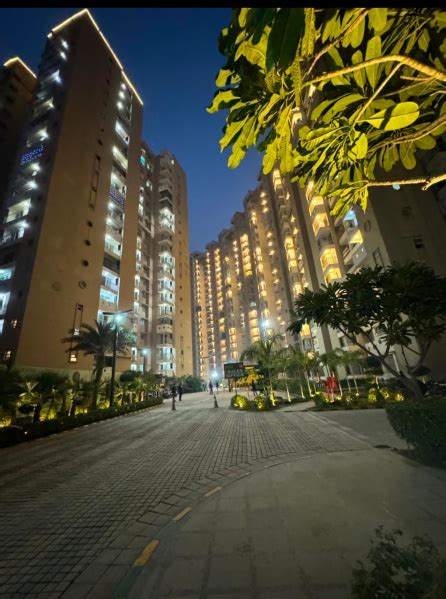 4 BHK Residential Apartment 2075 Sq.ft. for Sale in Sector 143 Noida (REI1241985)