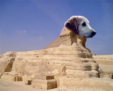 Dog Sphinx Sphinx Retriever