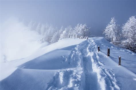 winter, Seasons, Snow, Nature, Landscape Wallpapers HD / Desktop and Mobile Backgrounds