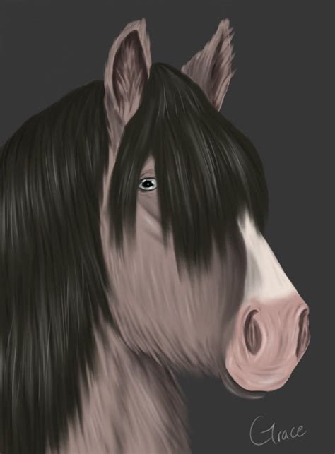 Theoooo | Horse Art RPG Amino