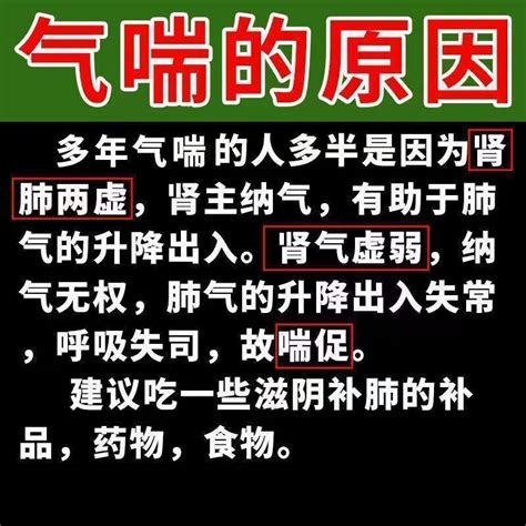 固本咳喘胶囊治咳喘气喘药一动就喘呼吸困难上不来气胸闷气短虚劳咳喘止咳平喘中老年咳喘一盒虎窝购