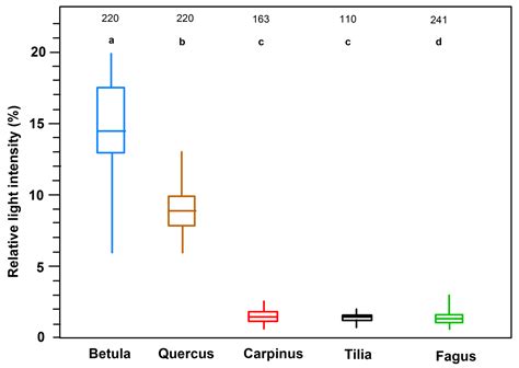 Leaf and Crown Optical Properties of Five Early-, Mid- and Late