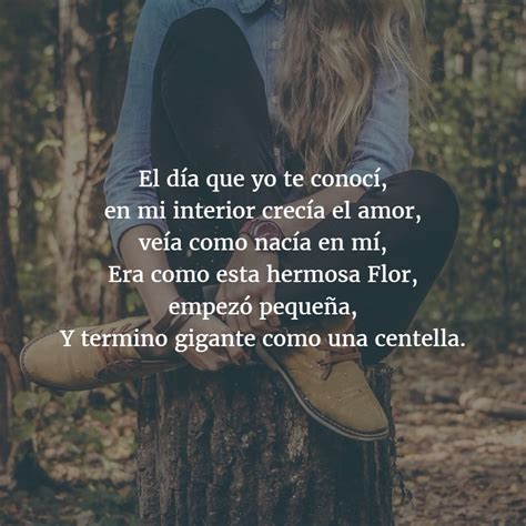 Frases Para Enamorar Y Seducir A Una Mujer Muy Bonitas