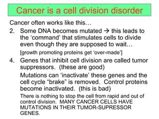 Regulating Cells Ppt