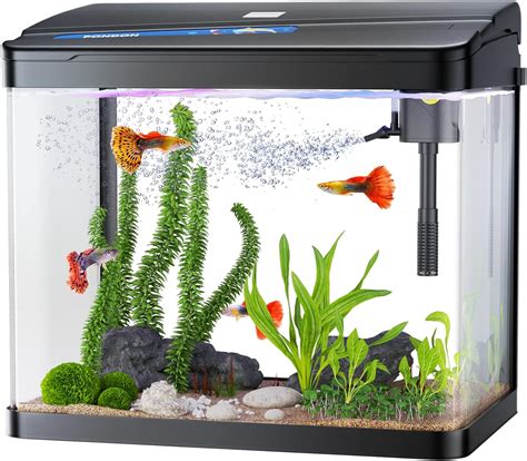 Comprar Pondon Fish Tank Gallon Glass Aquarium In Fish Tank