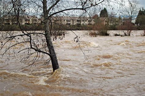 Flooding River stock photo. Image of flood, condominiums - 425194