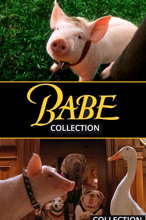 Babe Collection Posters The Movie Database TMDB