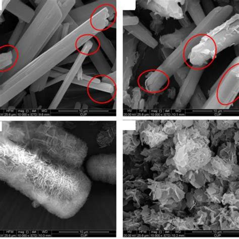 Sem Images Of Crystal Morphology During The Transformation Process At