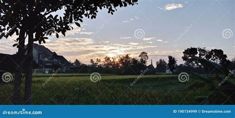 Suasana Pagi stock image. Image of plain, sunset, pagi - 190734999