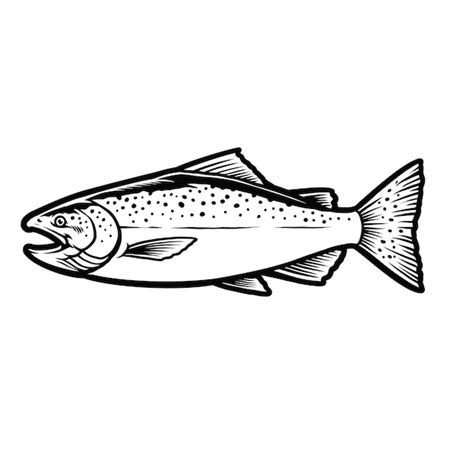 Premium Vector Professional Bass Fish Clipart