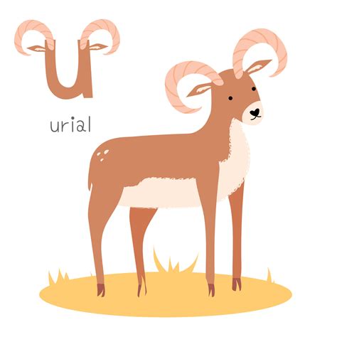 u animal list 10