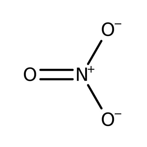 nitrate problems   betta