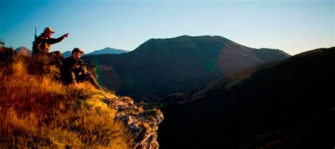 Hunting New Zealand - High Peak