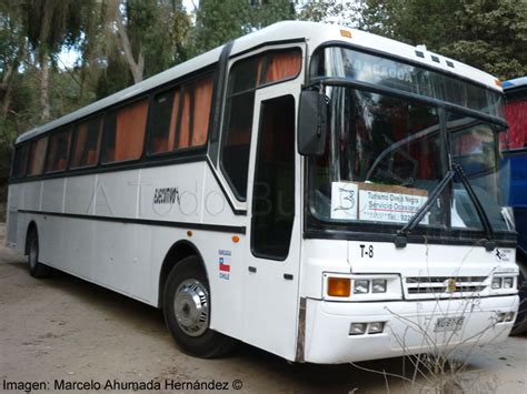 A Todo Bus Chile La Biblioteca Busóloga de Chile