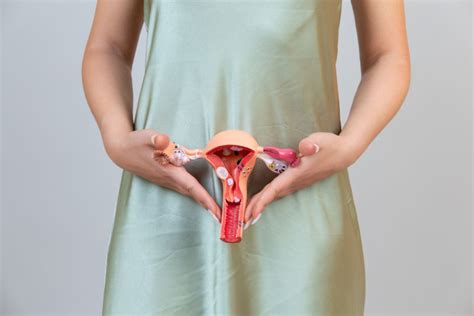 Thick Or Thin Ways To Prepare Your Uterine Lining For Ivf