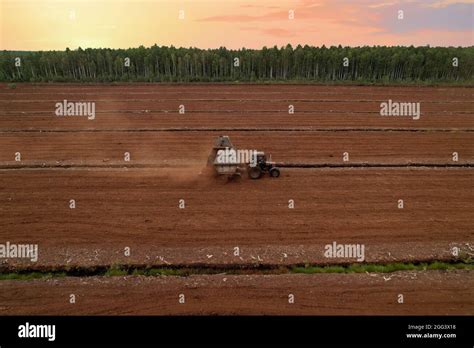 Peat Moss Harvest