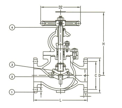 Stainless Steel Non Return Valve Ss Nrv Globe Valves