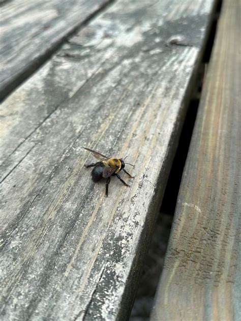 Let'... - Delaware National Estuarine Research Reserve (DNERR) | Facebook