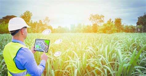 Precision Agriculture Leveraging Remote Sensing For Agricultural