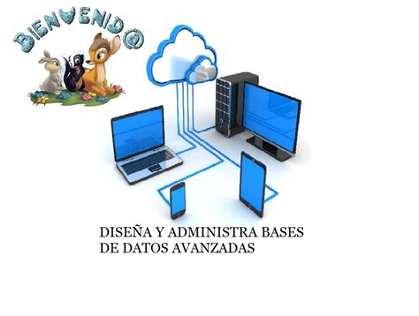 Dise A Y Administra Bases De Datos Avanzadas