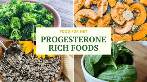 Progesterone Rich Foods And Foods To Increase Your Progesterone Levels Food For Net